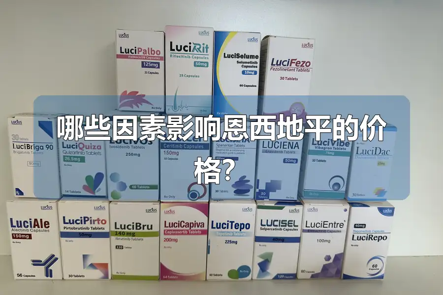 哪些因素影响恩西地平的价格？